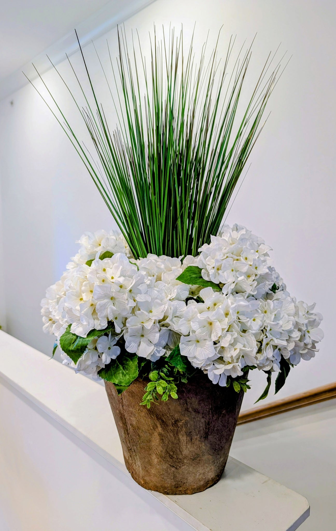 UV-protected Hydrangeas
