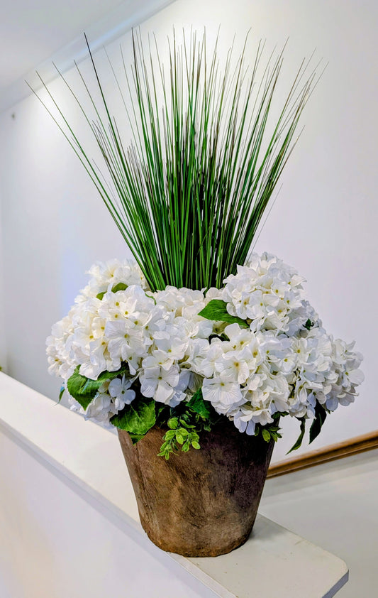 UV-protected Hydrangeas